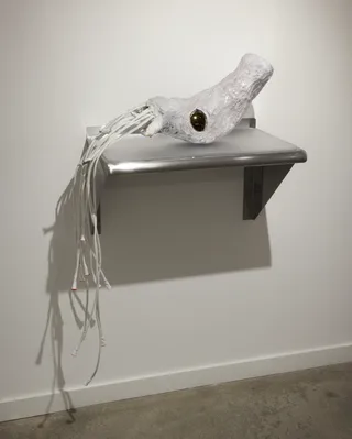 20131017 Alex Fischer Dry Pixels and Wet Molecules O'Born Contemporary 29 Ammonite documentation.jpg
